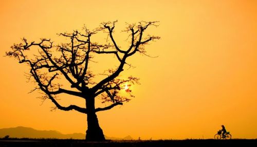 Co-mot-Viet-Nam-dep-la_Tin180.com_020