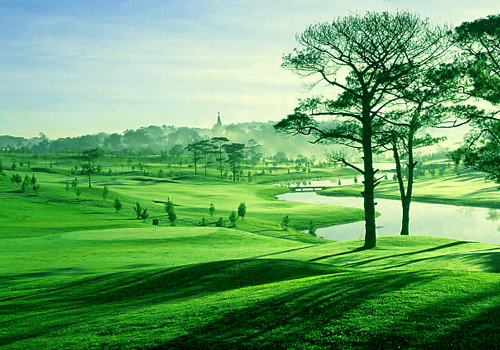 da_lat_3_-_du_lich_sen_vang_11