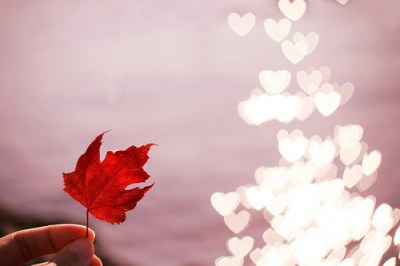 1318385507-khong-con-mua-thu-1