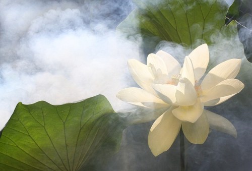 1348541513_sen thom 1