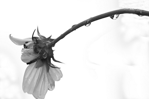 5473324054_0bb5983871