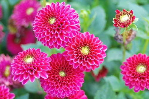 1251580466_f5e8ec1ee8_z