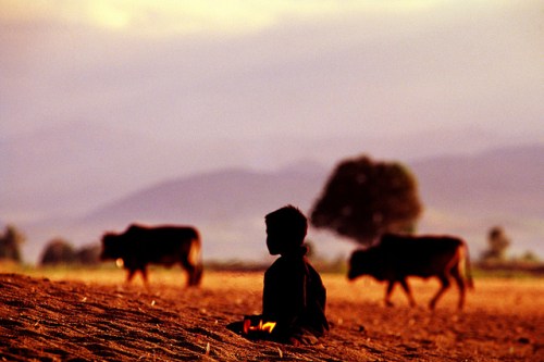 6304842795_c56f7e61e6_z