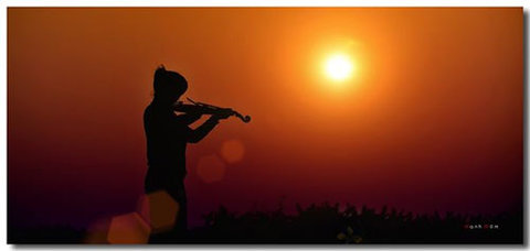 1000038674_nang_chieu_6_480x0