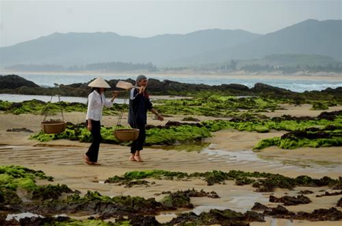 Ngư dân gánh cá lên chợ, bủa chài, chở cá… đều diễn ra trong buổi sáng sớm - Ảnh: Trường Đăng