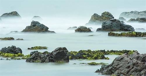 Những bãi đá rêu xanh lung linh trên biển Lộ Diêu - Ảnh: Hải Võ