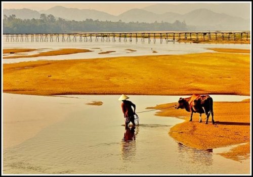 27189_380865294243_155104364243_3616928_3817057_n