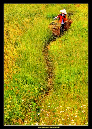 2870249190_5fbbcdb536_z