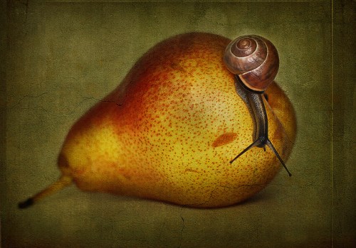 6390638931_aecc45a07e_z