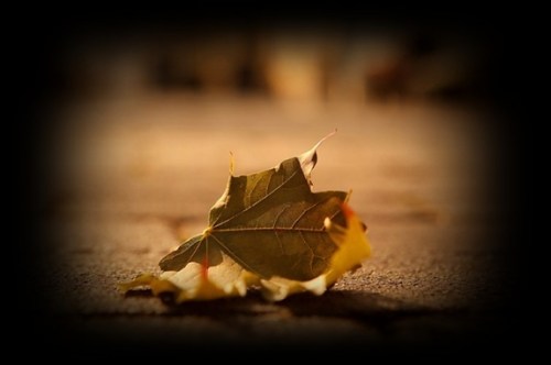 1321859496708140354_574_0