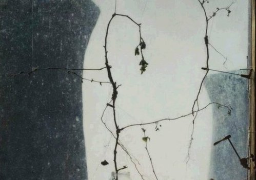 1348384665-1342516458_1342509060_a_1145869989