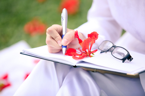 1368630902_hoa-phuong-18