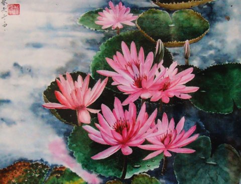 HOA SÚNG- TRANH THỦY THÁI HỌA- LÂM CHIÊU ĐỒNG