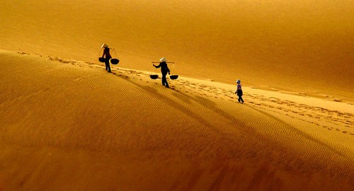 823879317_490e8ee4ff_o