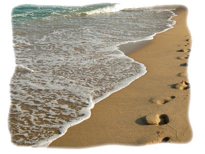 ap_20110128071126428