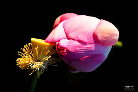 News_06382012_103813008 DSC_4671