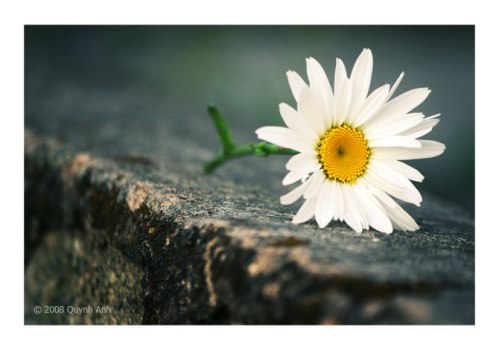 4c48fd94_68fbde53_25