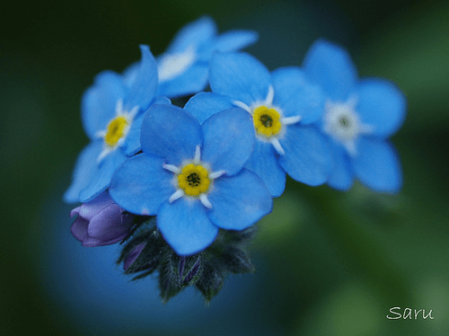 tinh-yeu-luu-ly-phan-7-0