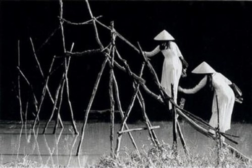 470ef6b1_dentruong_nguyenthithanhson_resize