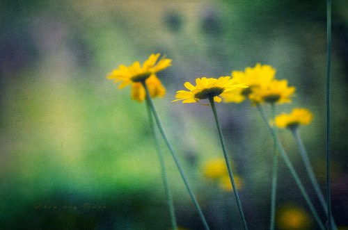 7789624542_8c71ab3492_c