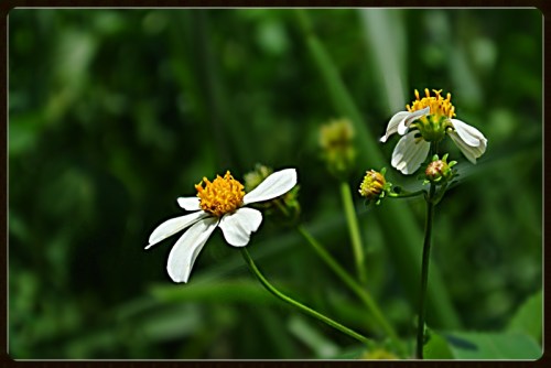 80d90c15-cab5-400e-b08f-ba8be9f415c7