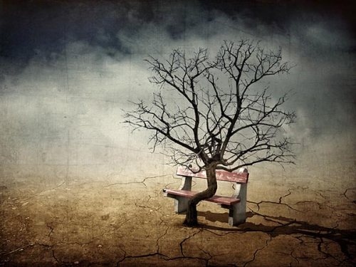 Tranh trừu tượng của Sarolta Ban