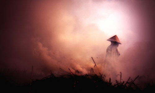 4254885235_8ea8498de5