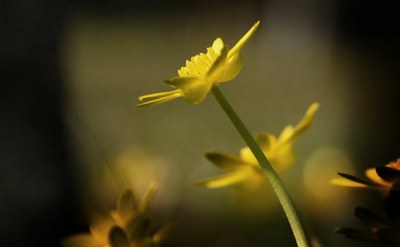 f521c5d5-a56c-42f8-8e34-e5e6c12cd964