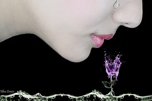 1533882_694383423940461_322028429_n