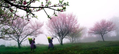 8ed4c470-2a68-44f1-a09f-e0fbe92c56f6