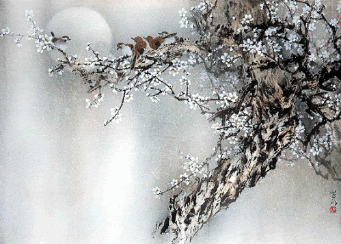 Lời tình buồn say gió xuân