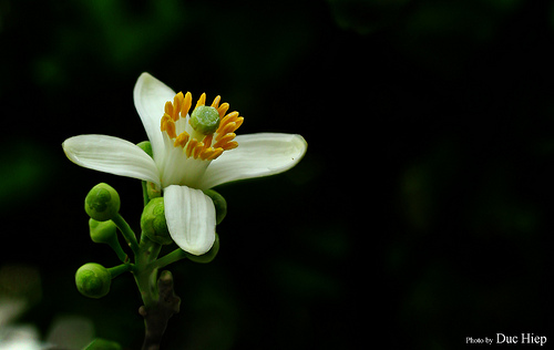 8520472848_0dd5c0e5f1