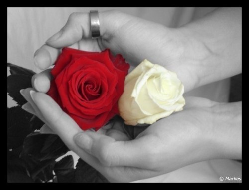 120830kpvulan03-3aabf