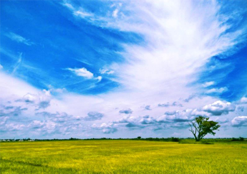 13009310-Untitled-12