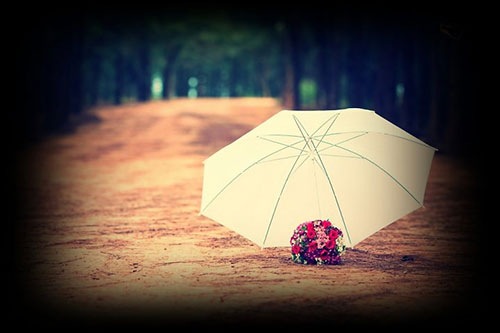 55529522-1363339498-buong-het-doi-cho-1