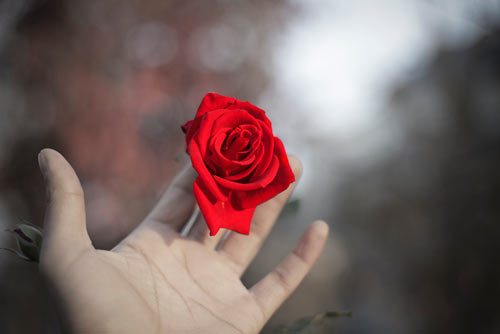 55274894-1263523323-trang-khuyet-3