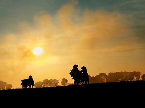 43885491126-cbgmk-332