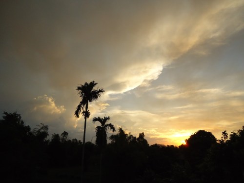 Ảnh Lê Đăng Mành