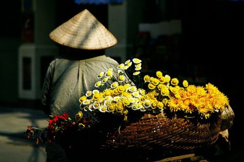 nhung-mua-hoa-dac-trung-theo-thang-cua-ha-noi