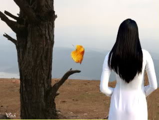 thieunuaotrangbenthancaytruila