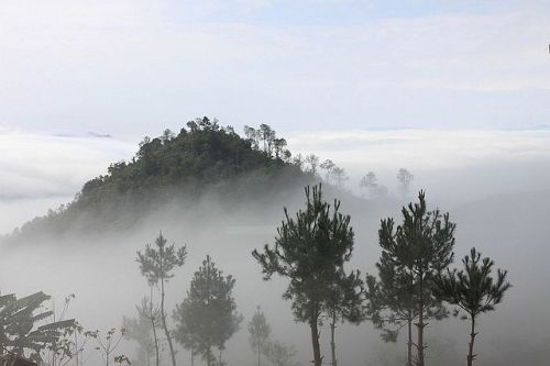 6869460549_3611b39fb4_z