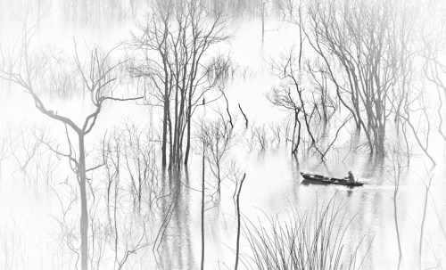 Ảnh Trương Quang Minh