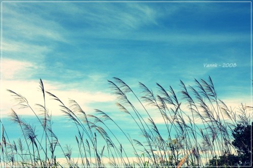 2671769306_2301282fd8_o