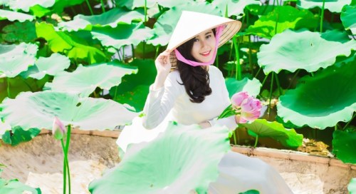 nhung-hinh-anh-dep-cua-hot-girl-voi-hoa-sen-10