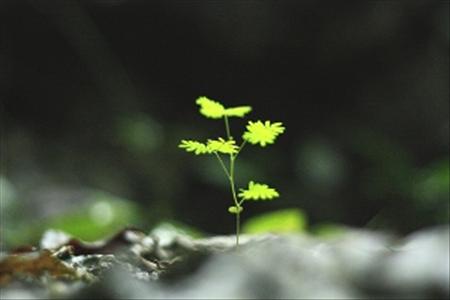 GMVNGHCGTG_Full_5274177