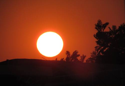 12828526_10207216348024266_2854763574909174338_o