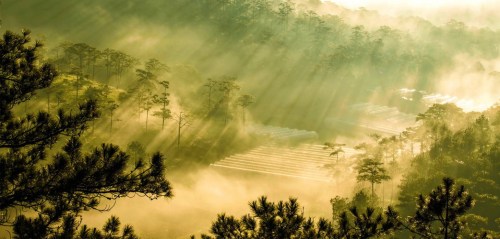 da-lat-suong-mai-pasoto-ava