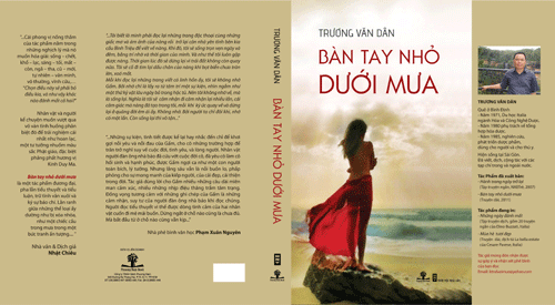 image-large-ban-tay-nho-duoi-mua-tieu-thuyet-truong-van-dan