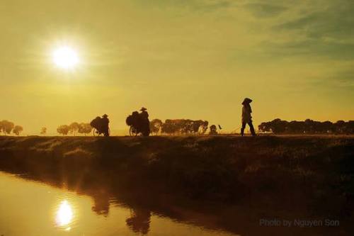 Ảnh sưu tầm trên internet