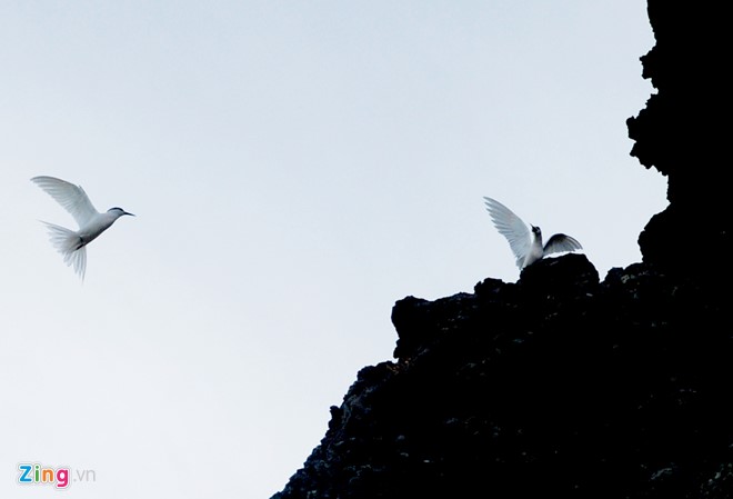 b88a516d18dbbd7d59ba8eb49f810f13